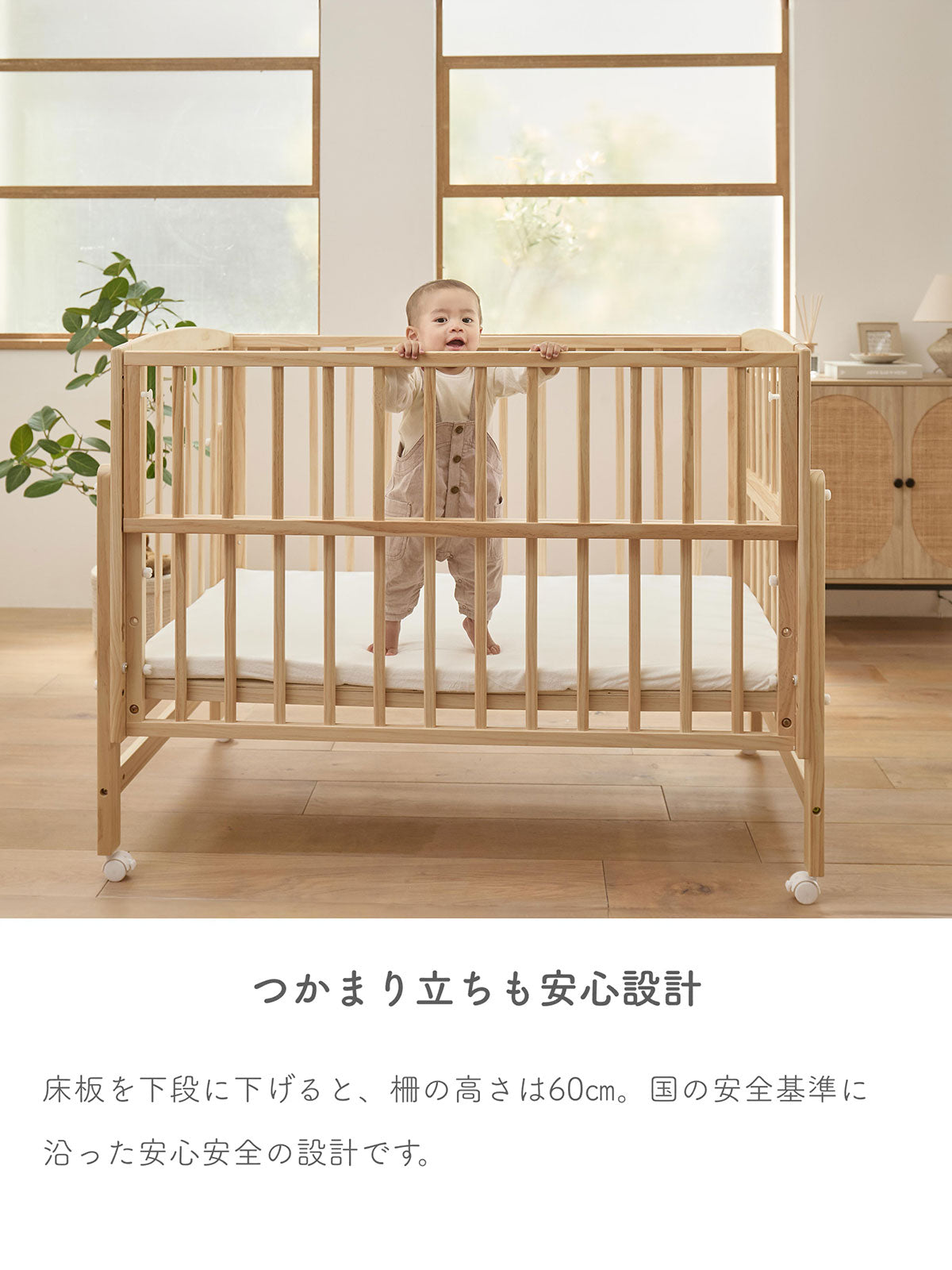 イメージ写真はノモックプラスレギュラーを使用